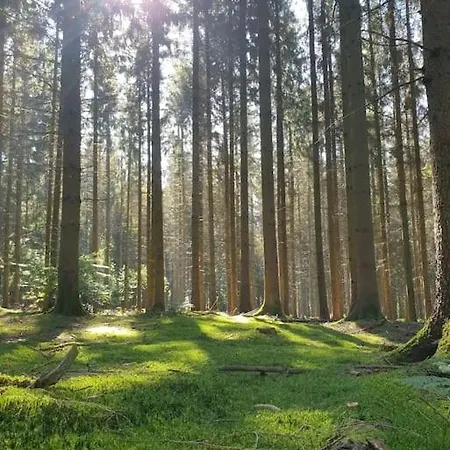 Gite Nº11 En Pleine Nature Signy-le-Petit